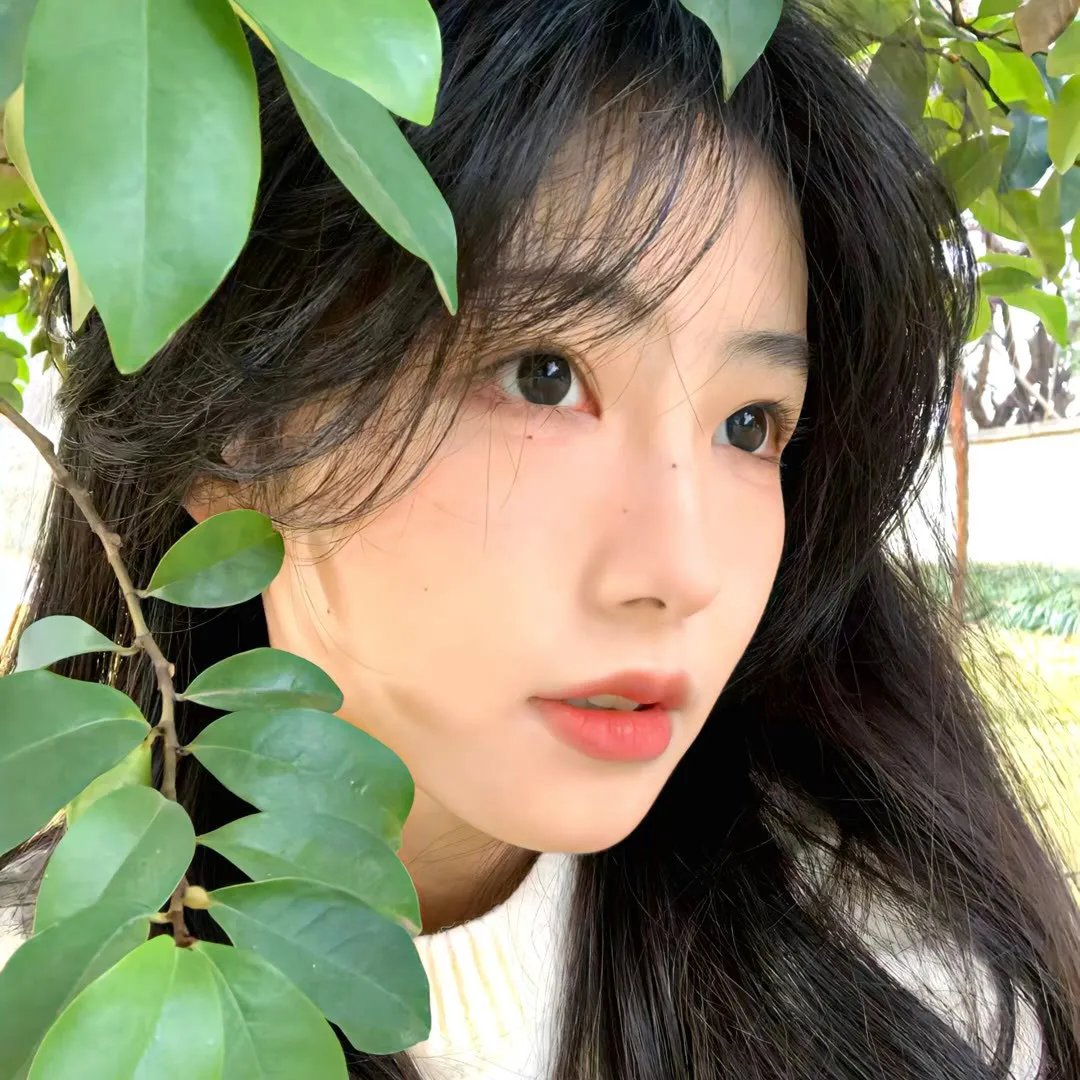 扭曲的地球